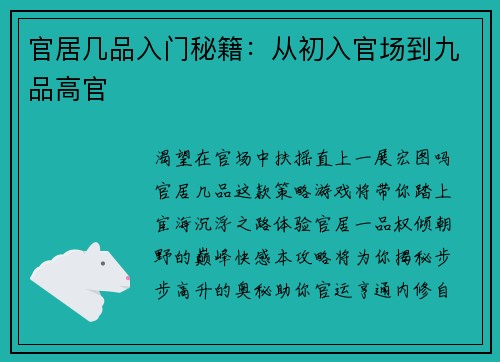 官居几品入门秘籍：从初入官场到九品高官